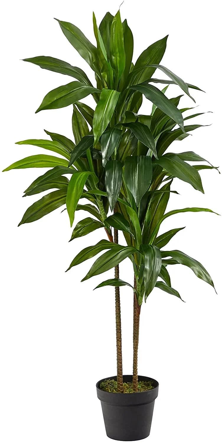 Artificial Plant